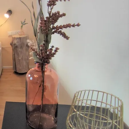 Wachtraum - Altstadt Apartment&design An Stadthalle&marktplatz *